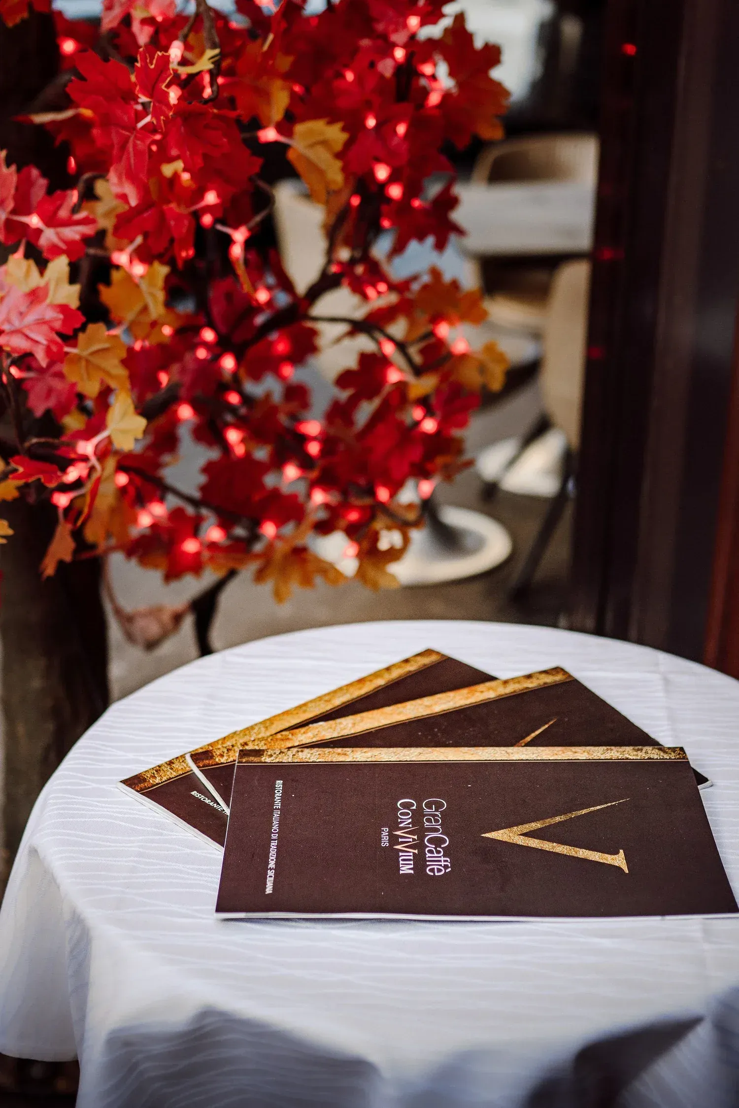 Gran Caffè Convivium menus fanned out on a terrace table beneath a red blossom tree